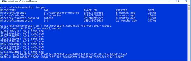 SQL Server 2017 Docker Container And Web API In .Net Core